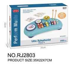 Music Toy--Blue